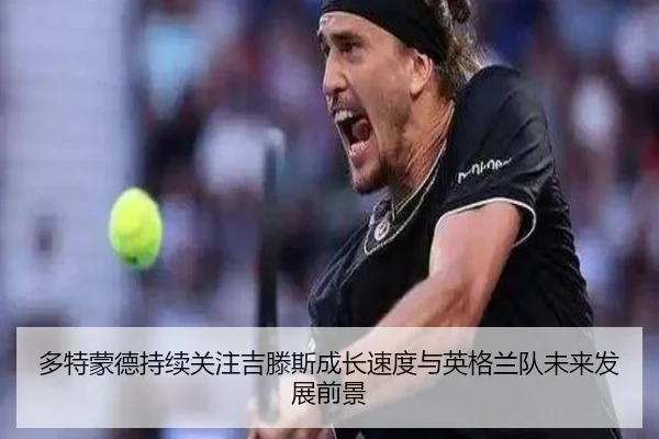 duo-te-meng-de-chi-xu-guan-zhu-ji-teng-si-cheng-zhang-su-du-yu-ying-ge-lan-dui-wei-lai-fa-zhan-qian-jing-3-309.jpg
